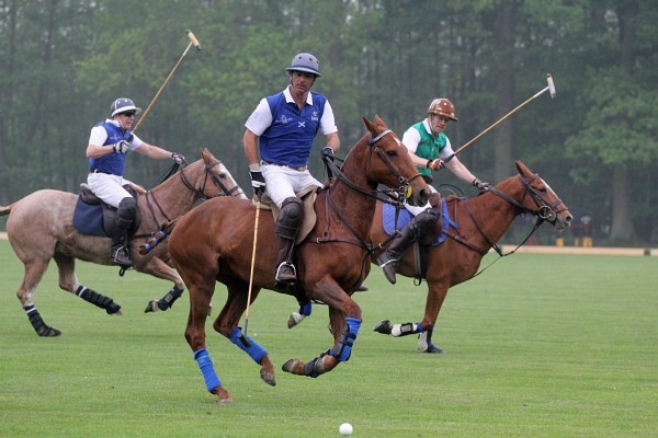 Polo_Art   044.jpg